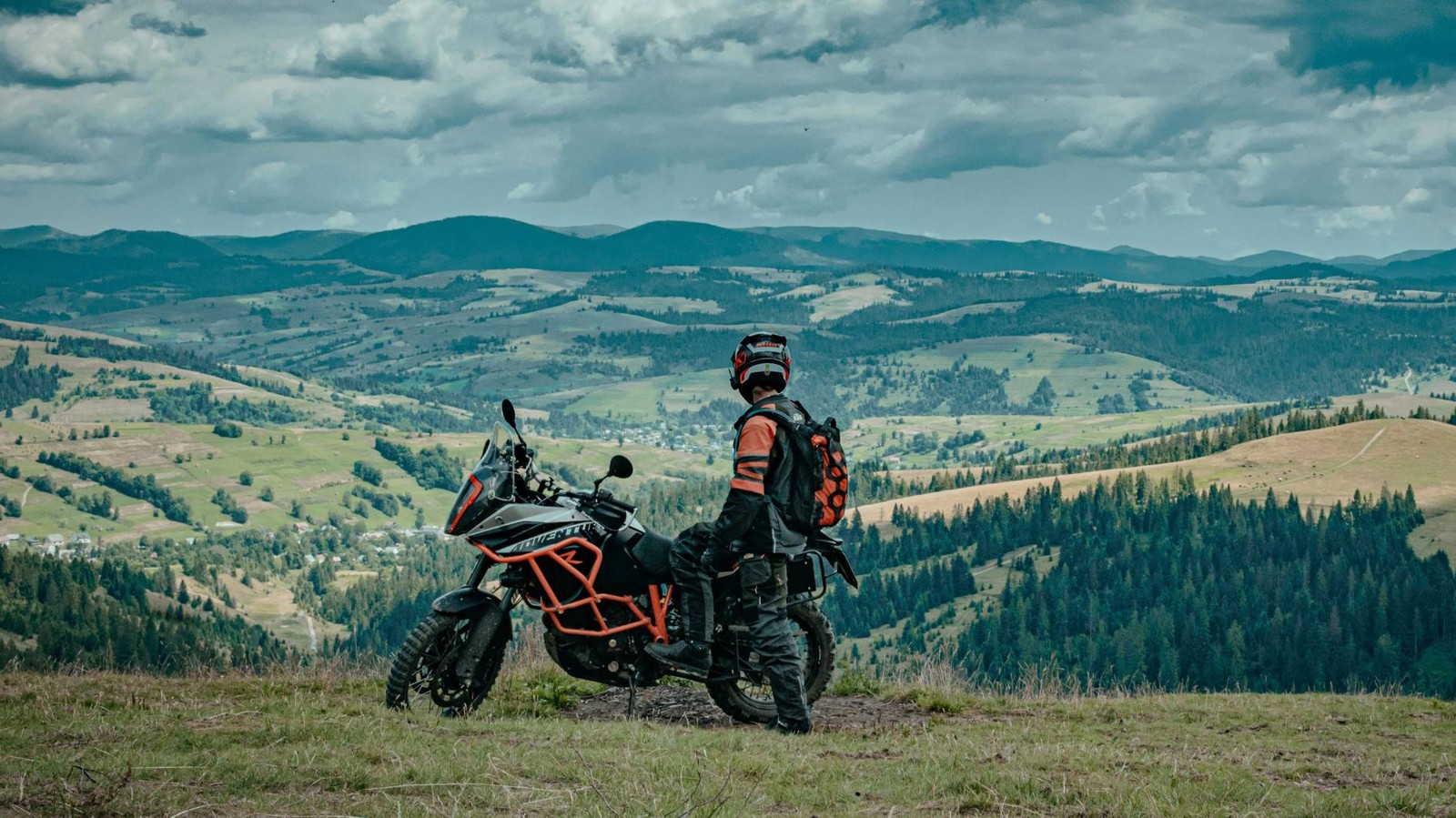 Screenshot of whip.live